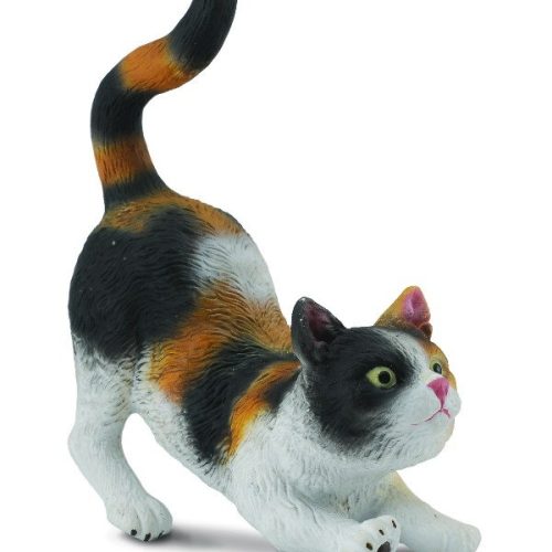 Домашняя кошка ,S