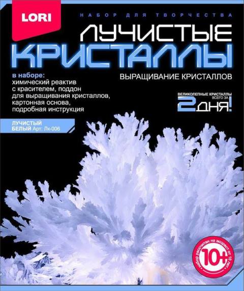 61404.jpg Выращивание кристаллов 'Белый кристалл' Лучистые кристалы